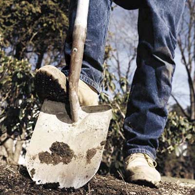 Who’s Digging Under Your House?