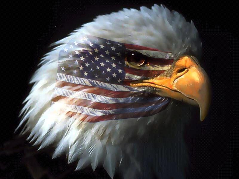 On Freedom