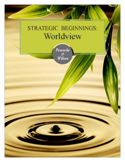 Strategic Beginnings: Worldview CD Series