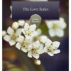 The Love Series MP3