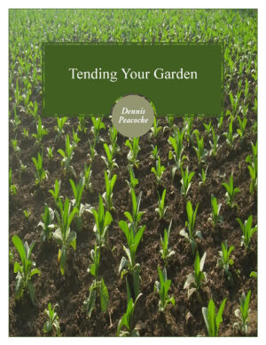 Tending Your Garden CD Series