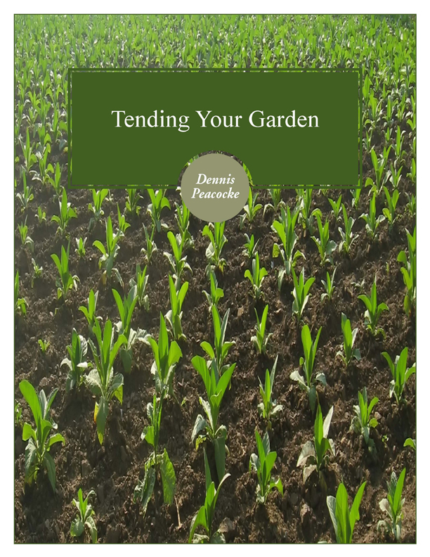 Core Message Highlight: Tending Your Garden