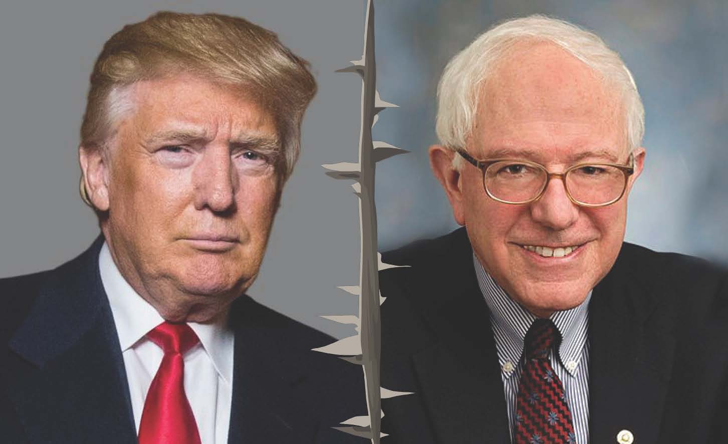 Trump vs. Sanders: Measuring How Divided We Are