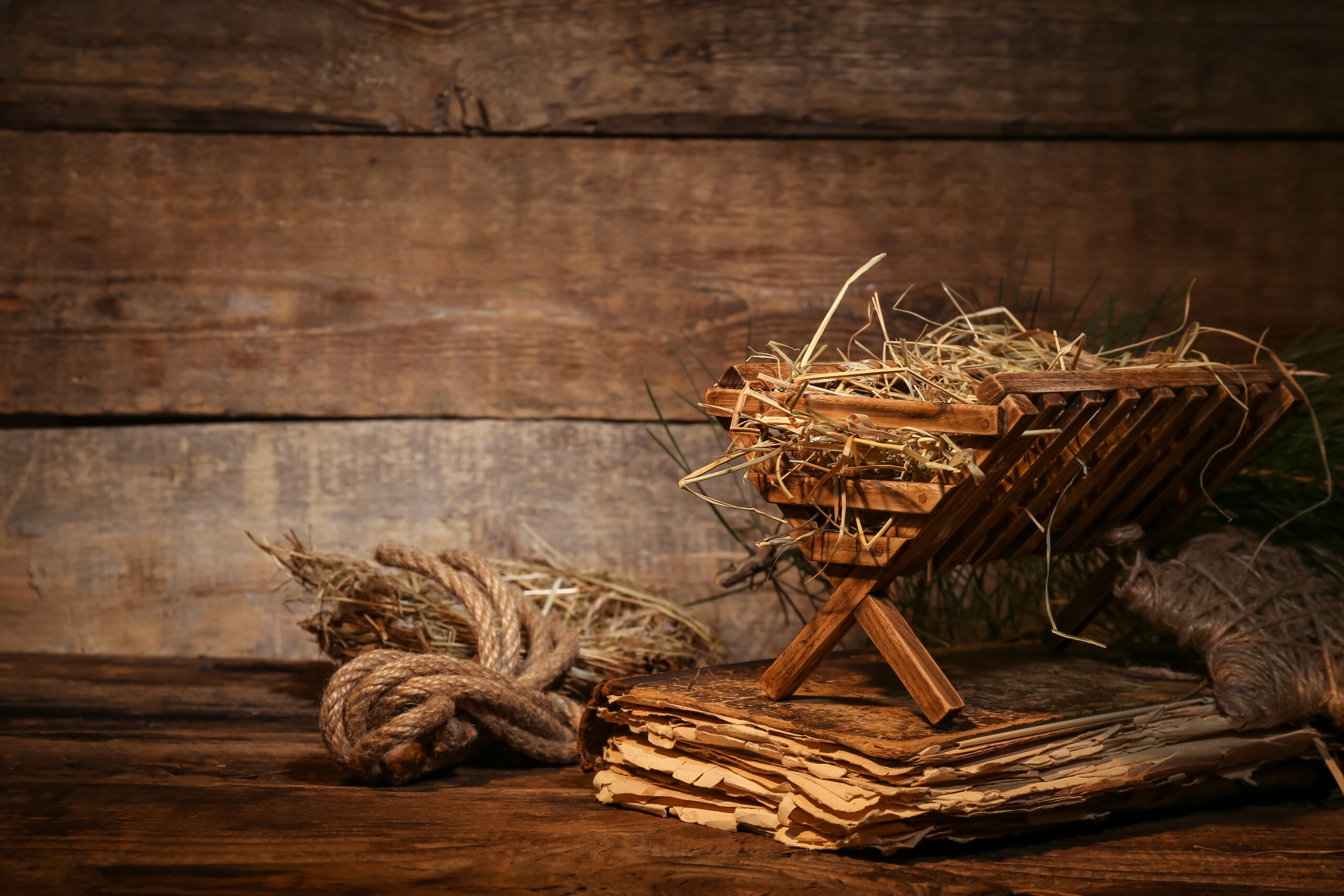 Christmas Remains a “Safe Place”