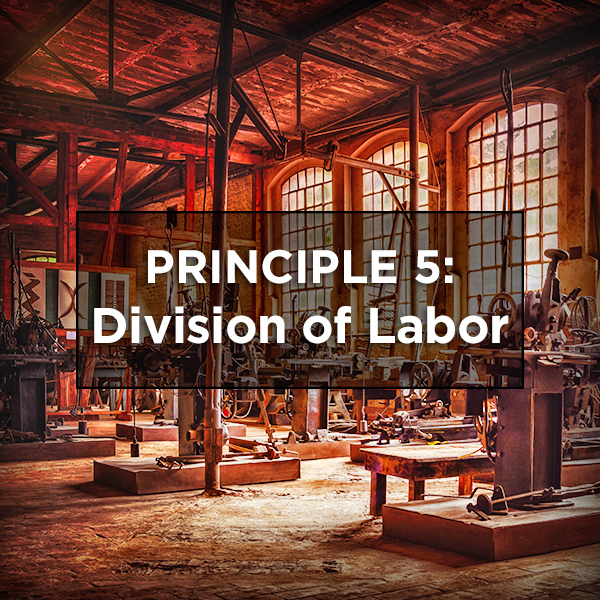 Principle Five: The Division of Labor