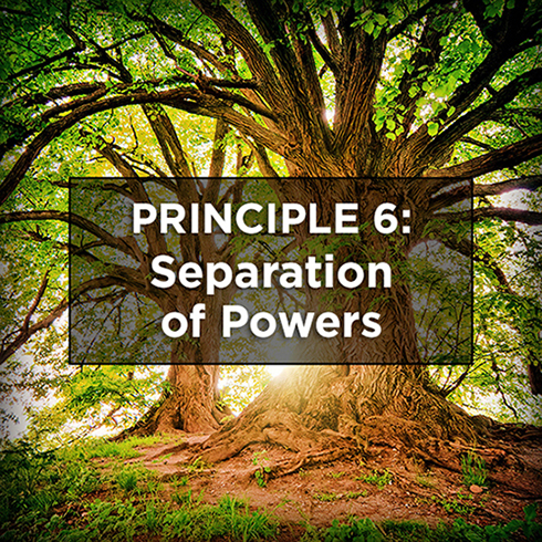 Principle Six: The Separation of Powers
