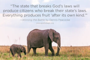 Winning the Battle for the Minds of Men (Paperback Book) - Image 5