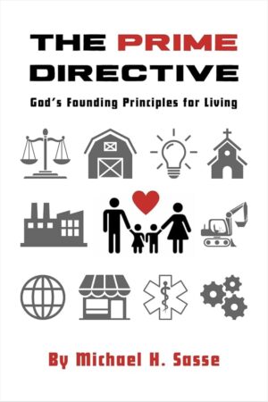 The Prime Directive by Michael H. Sasse (Paperback Book)