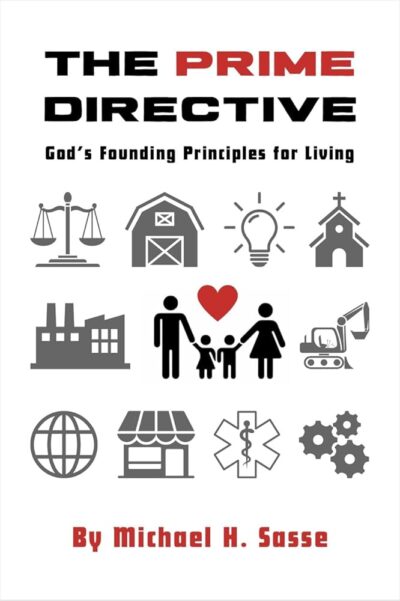The Prime Directive by Michael H. Sasse (Paperback Book)